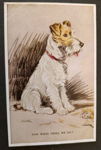 Mac dog postcard wire - postcard,,