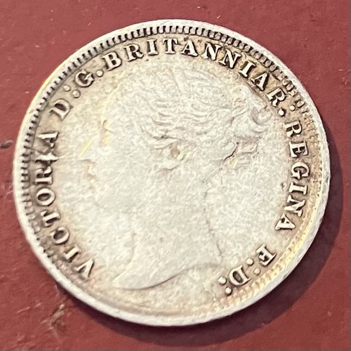 1873 young head - head, victoria