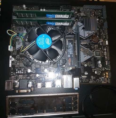 Asus prime b360m bundle - asus,