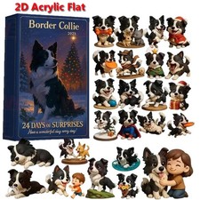 Border Collie Advent Calendar