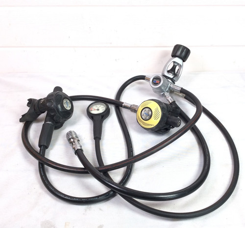 Northern diver dual buddy - diver,