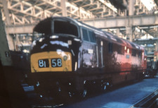 5 x 35mm Slides By Colour Rail