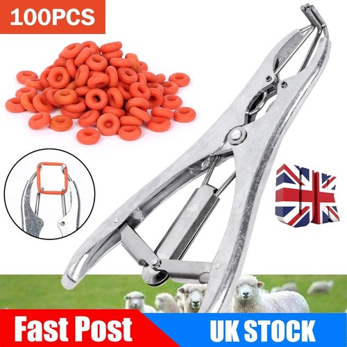 100x marking rings - 100x,
