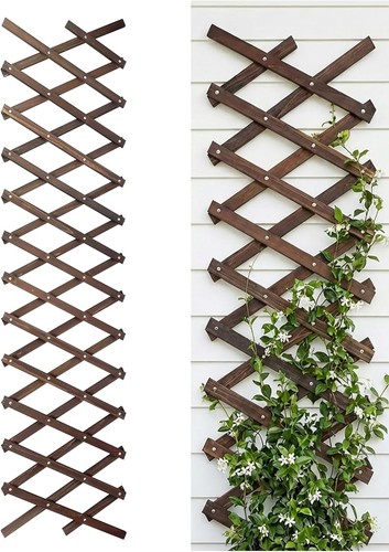 Expandable garden trellis - garden,
