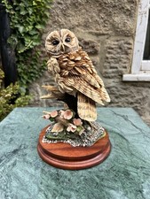 Border Fine Arts Tawny Owl Style Five Cold Cast Resin Figurine Ltd Ed 24cm Tall