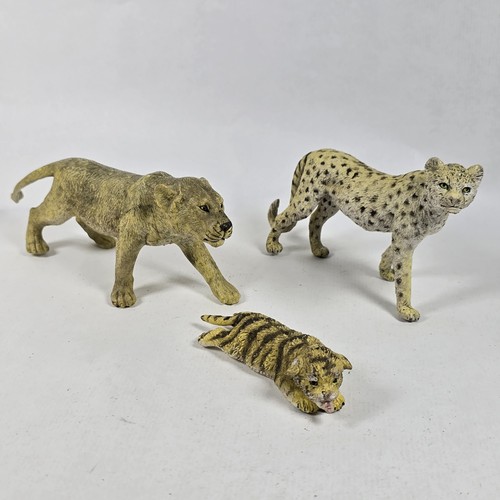 Cheetah lion cub - lion, cat