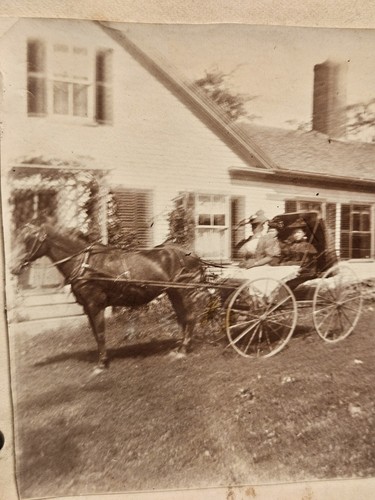 Antique horse drawn carriage - antique,