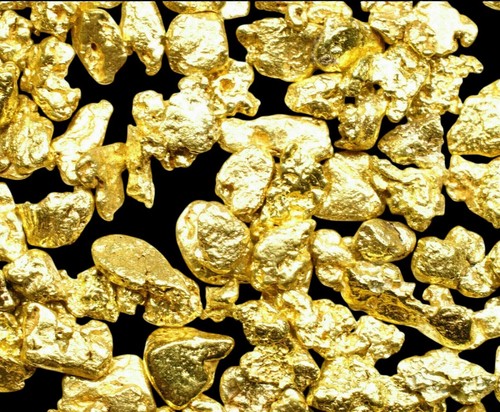 000 grams alaskan yukon bc - yukon,