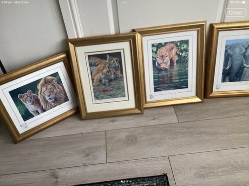 Four stephen gayford - stephen,