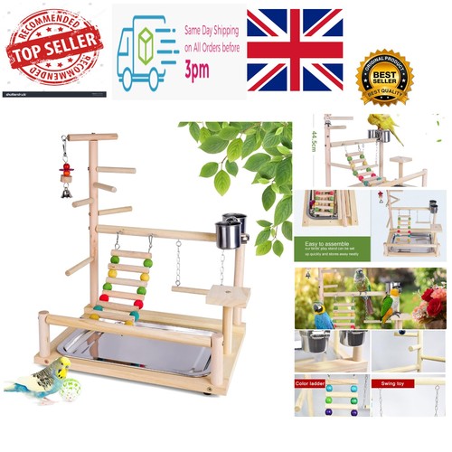 Parrot playstand bird - parrot,