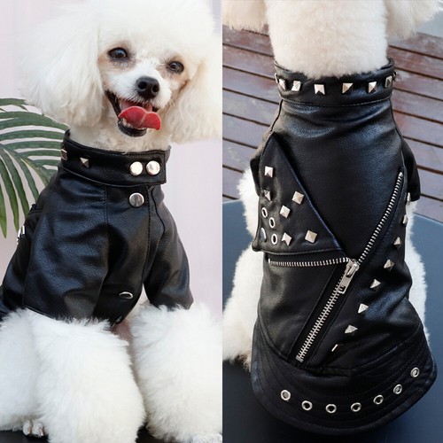 Warm winter dog coat leather - winter,
