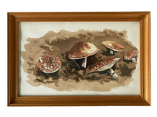 Vintage Watercolour Painting Mushroom, Toadstool, Fungi Signed Framed 1970's