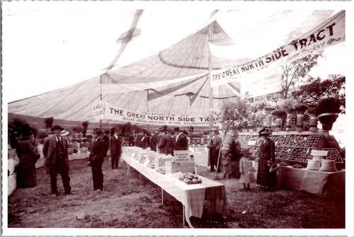 Western idaho fair produce - idaho,