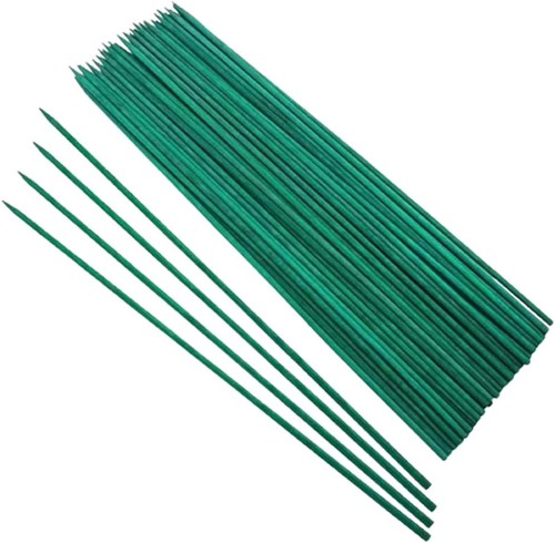 50pcs plant support - 50pcs,