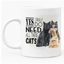 Funny Mug For 'Cat Person'