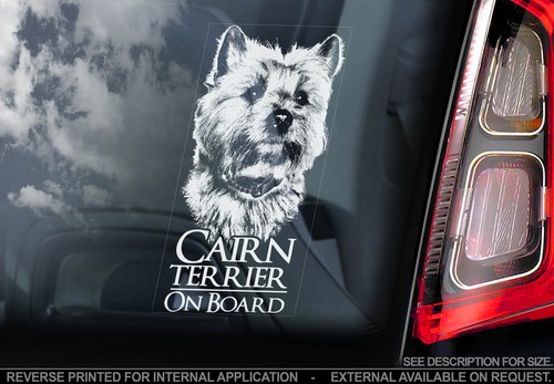 Cairn terrier car window - terrier,