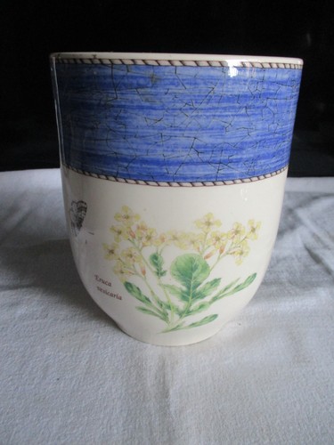 Wedgwood sarah garden - sarah's,