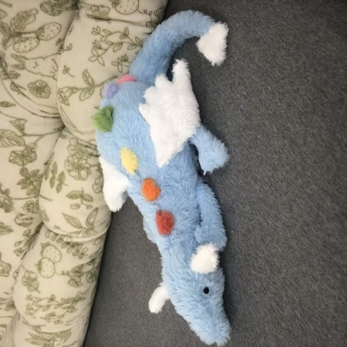Malachy dragon exclusive - malachy, sky