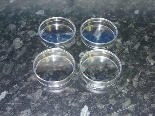 Plastic petri dish lab - plastic,