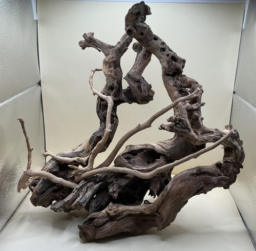 Aquarium driftwood handcrafted - aquarium,