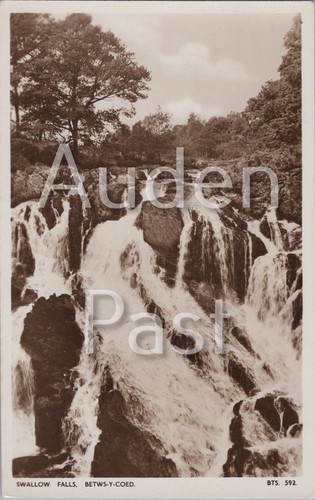 Rppc swallow falls - swallow,