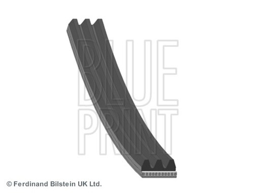 Ribbed belt blue - belt, print