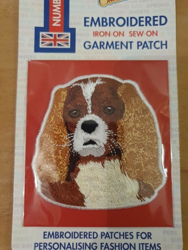 Blenheim cavalier king charles - blenheim,