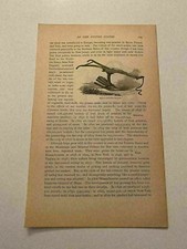 KP192) Horse Drawn Potato