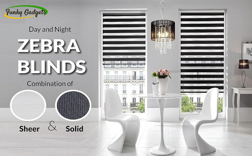 Day and night zebra - day,