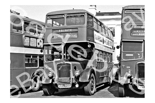 Bus photograph hants dorset - bus,