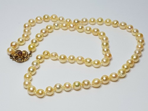 Gold 375 cultured - 9,