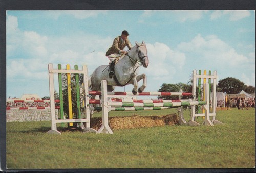 Sports postcard horses - -,