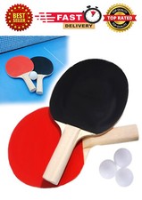 Instant Table Tennis Two Bats