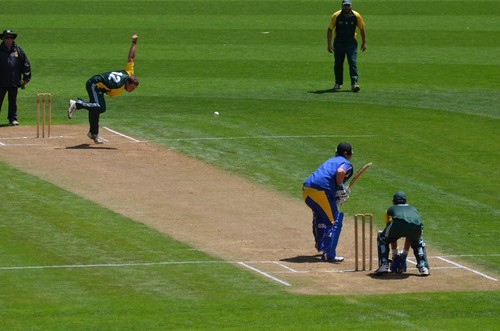 Cricket square tennis court - cricket,