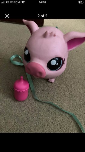 Little live pets pet pig - little, my