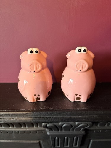Novelty pig salt - novelty,