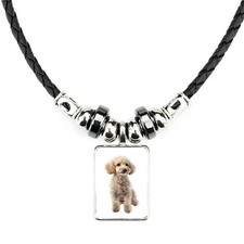 Miniature Poodle Dog Pet Soft