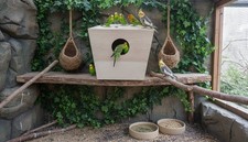 Bird nest box - nest, 10"x10"x
