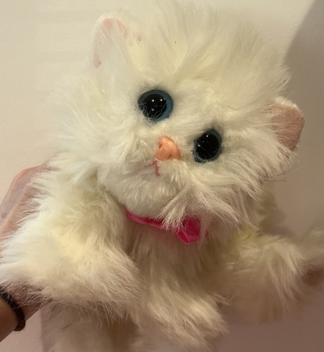 Rare dsi kitty kittens - dsi,
