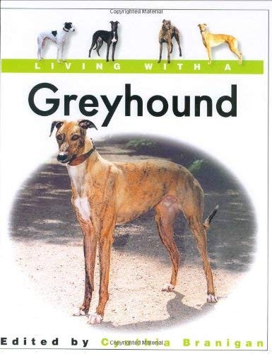 Living with greyhound - a,