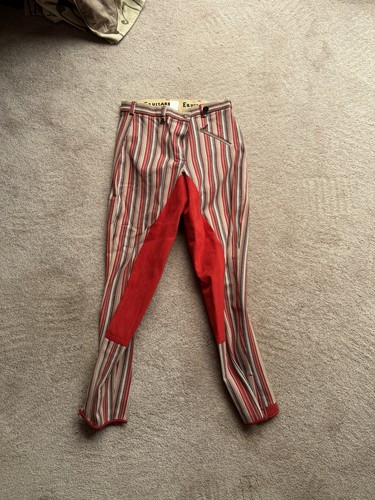 Horse riding jodhpurs - horse, jodphurs