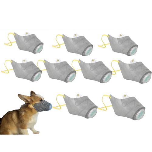 Dog respirator mask smoke - dog, mask,