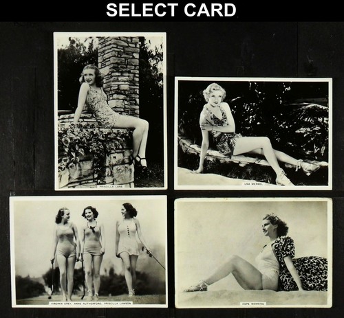 Modern beauties 6th bat - 6th,