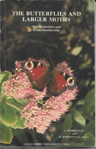The butterflies larger moths - butterflies,