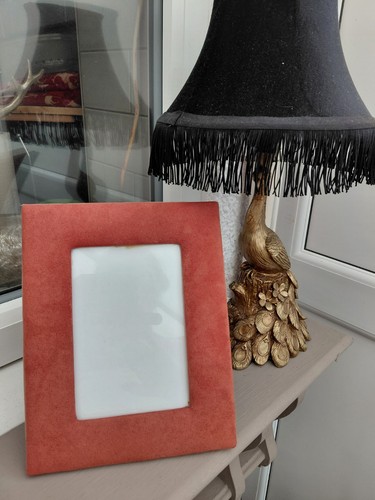 Gorgeous vintage retro velvet - ,
