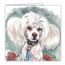 Chinese Crested greetings card
