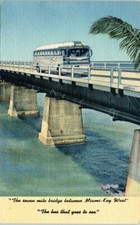 Lot of 2 FL Postcards