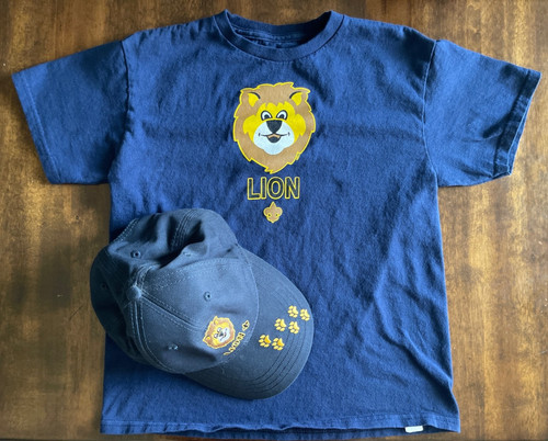 Bsa cub scout lion - bsa,