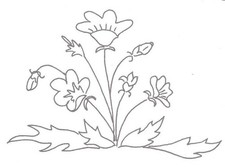 Embroidery Transfer Iron On