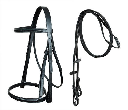 Horse tack raised - horse, snaffle